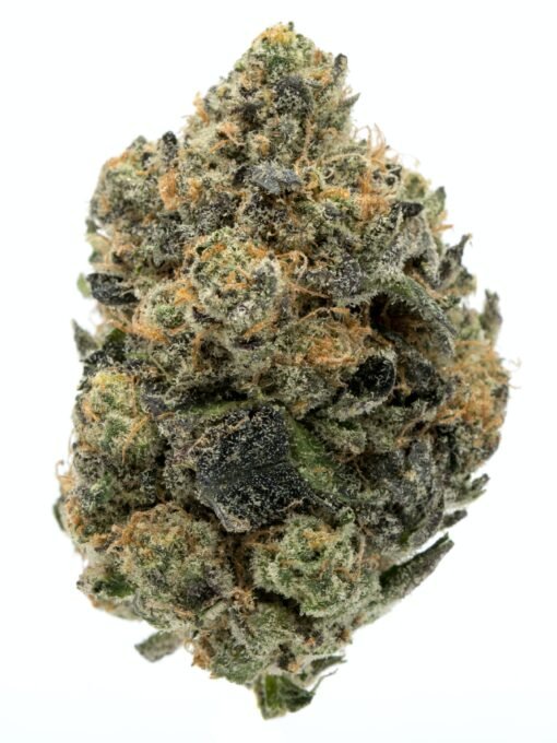 GIRL SCOUT COOKIES