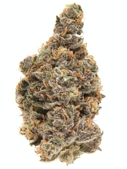 BLUEBERRY - Image 2