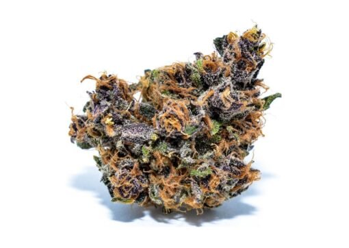 FORBIDDEN FRUIT