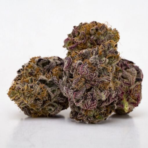 GRANDDADDY PURPLE - Image 2