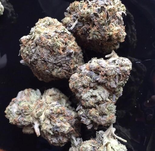 PURPLE PUNCH - Image 2