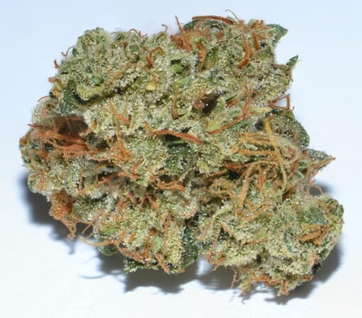 SFV OG